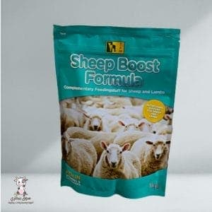 Sheep Boost for Fattening - 2