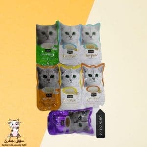 Kit Kat Cat Treats - 2