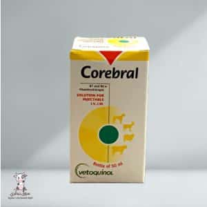 Coribral Injection - 2