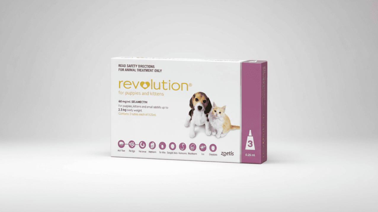 Revolution Dogs & Cats