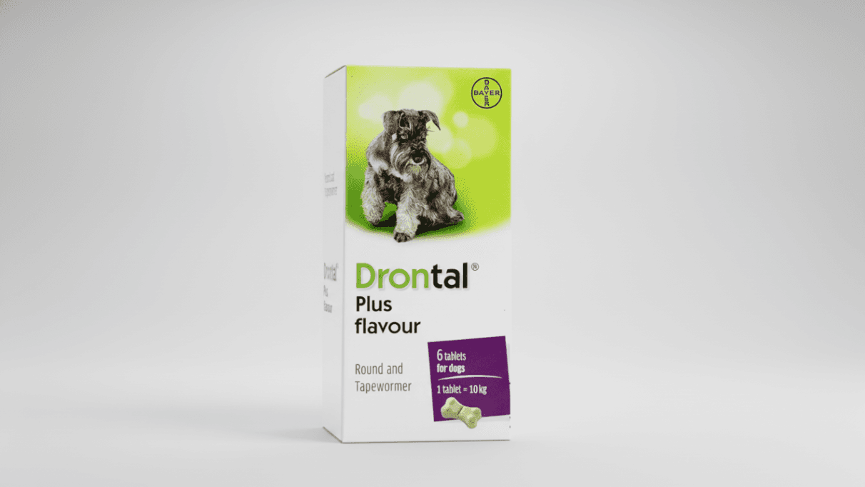 Drontal for Dogs