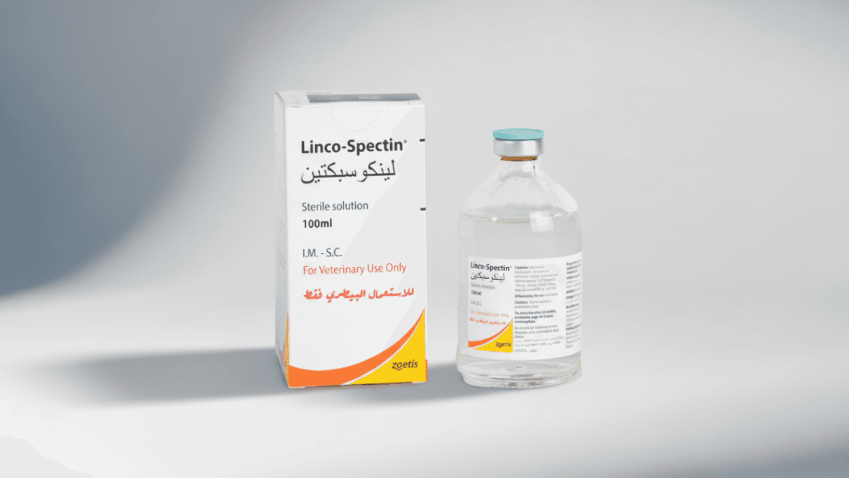 لينكوسبكتين 100 مل