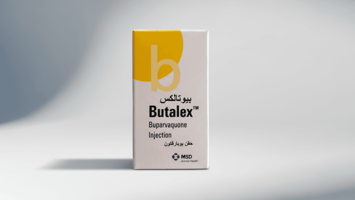 Biotalks Blood Parasites