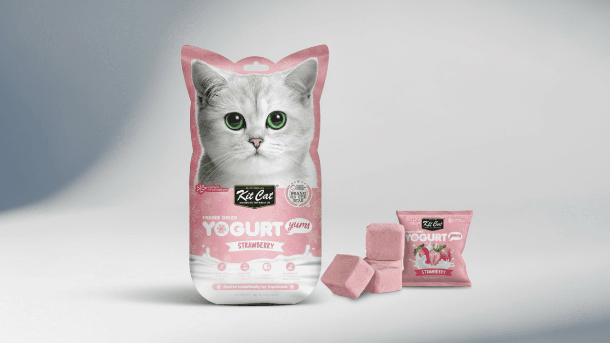 Kit Kat Cat Treats