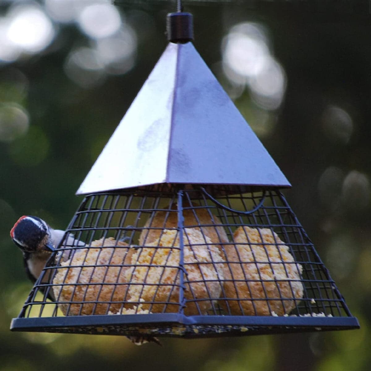 Small Pyramid Poultry & Bird Feeder