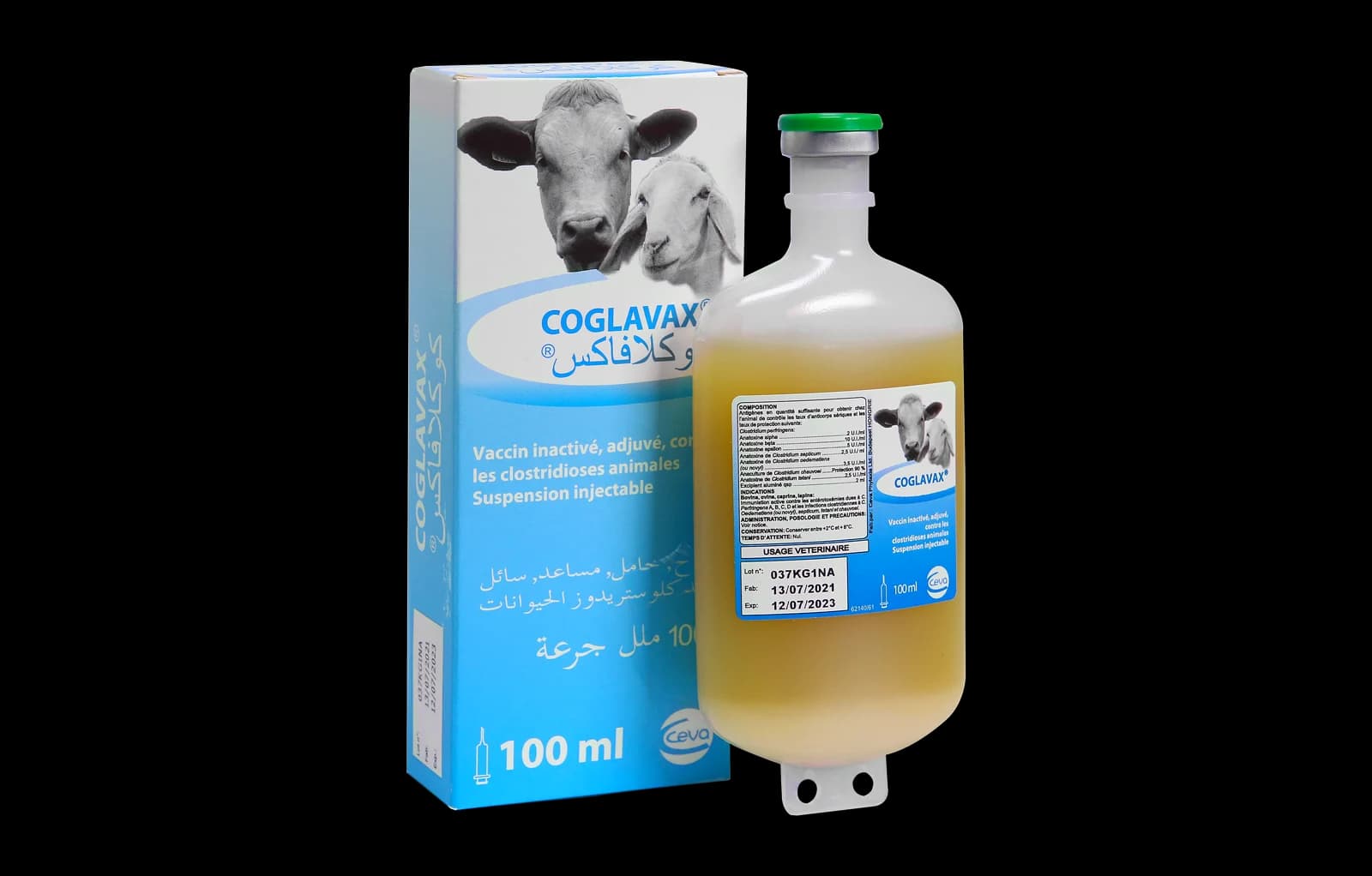 كوجلافاكس**250مل -معوي