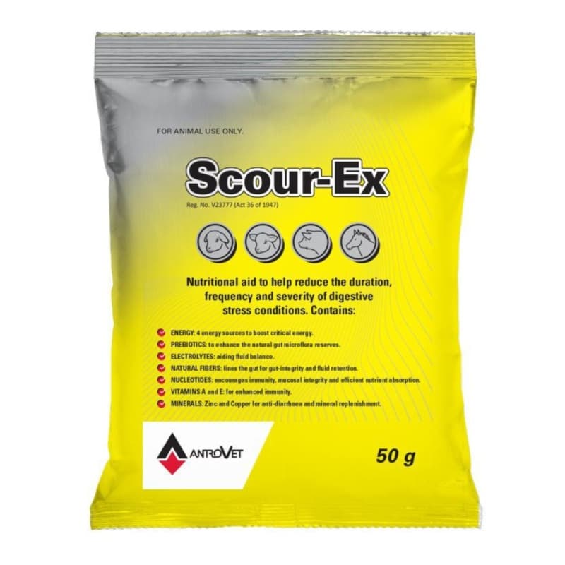 سكاور فيد 200 مل spi