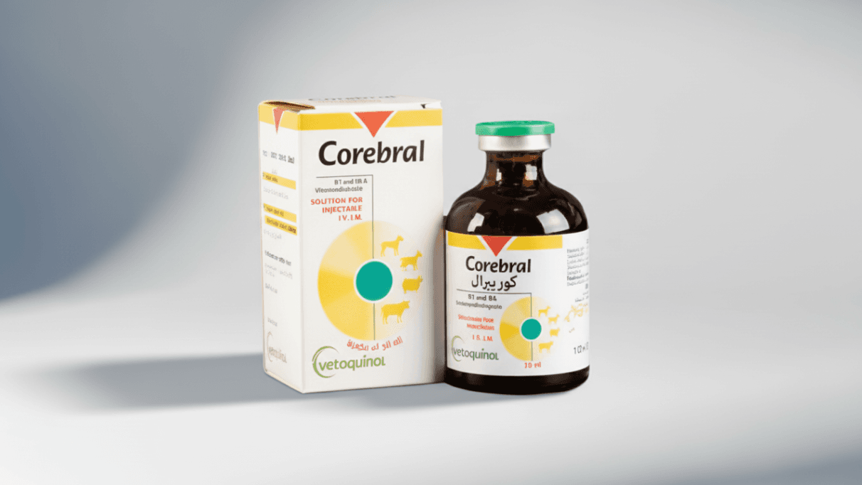 Coribral Injection